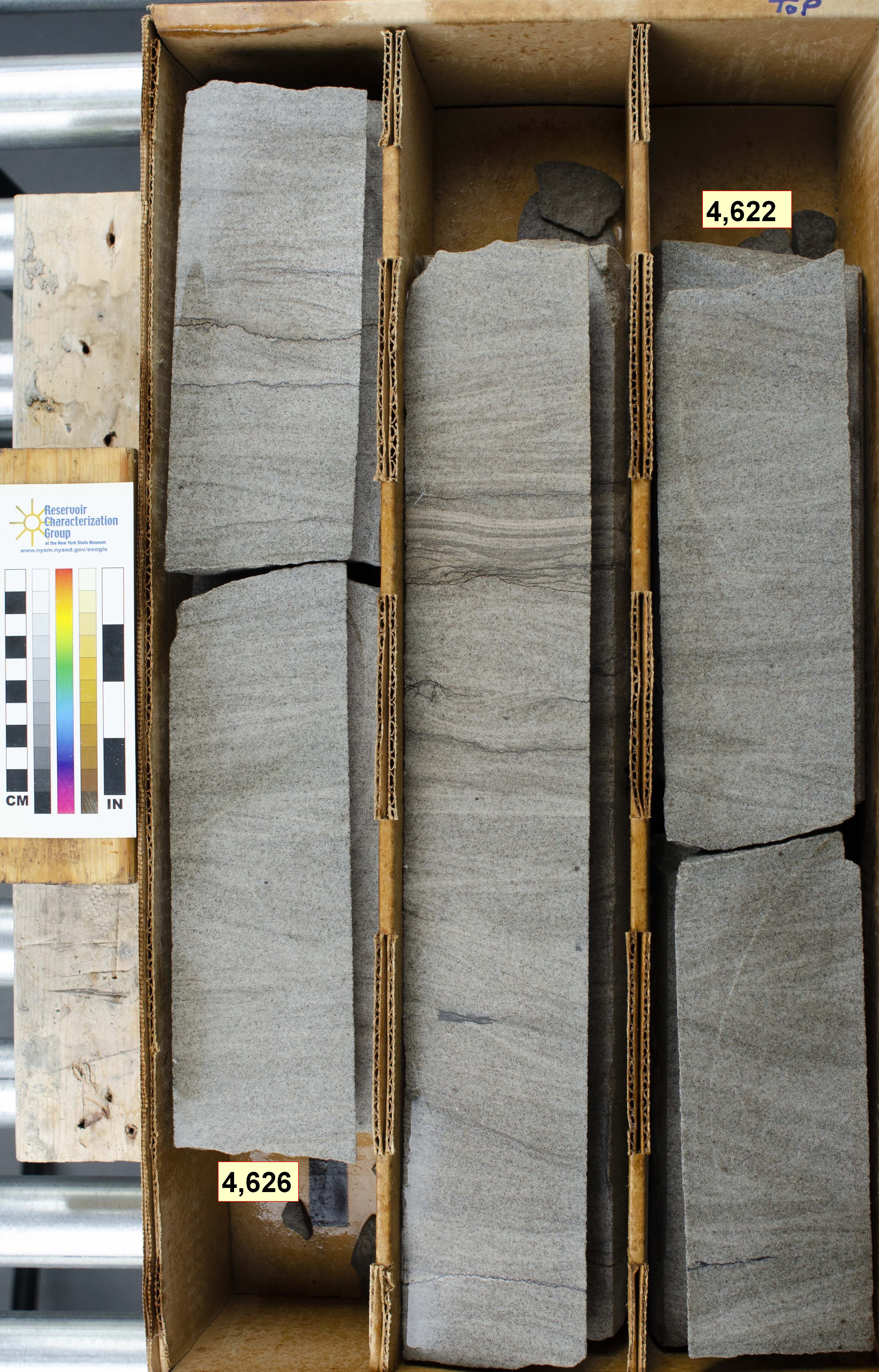 Core 2: Cambrian Rome Formation (cross-bedded and burrowed marine sandstones)